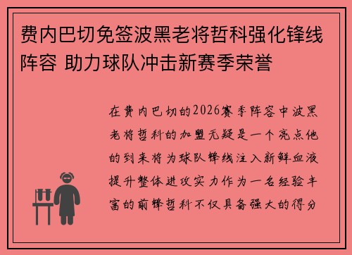 费内巴切免签波黑老将哲科强化锋线阵容 助力球队冲击新赛季荣誉 费内巴切免签波黑老将哲科强化锋线阵容 助力球队冲击新赛季荣誉