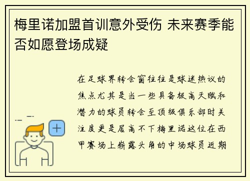 梅里诺加盟首训意外受伤 未来赛季能否如愿登场成疑 梅里诺加盟首训意外受伤 未来赛季能否如愿登场成疑